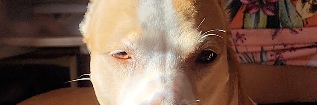 aiTed_'s profile banner image