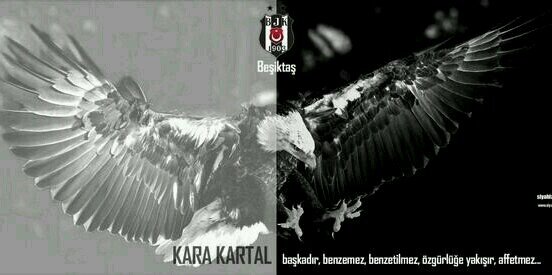 vedatmemioglu's profile banner image