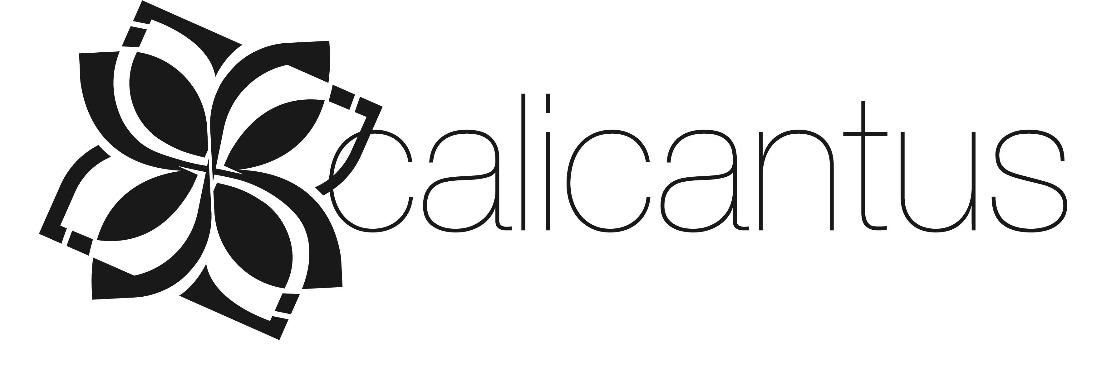 Calicantus_off's profile banner image