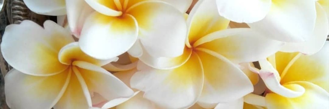 GuptaNirupma's profile banner image