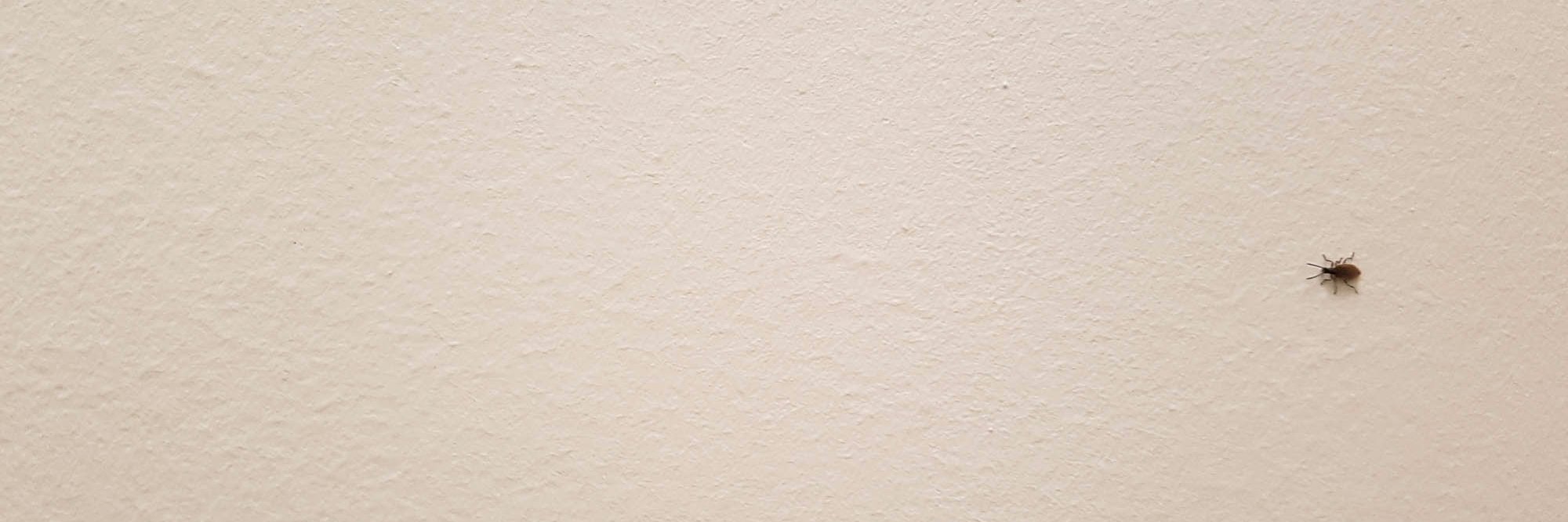 EquineOntology's profile banner image