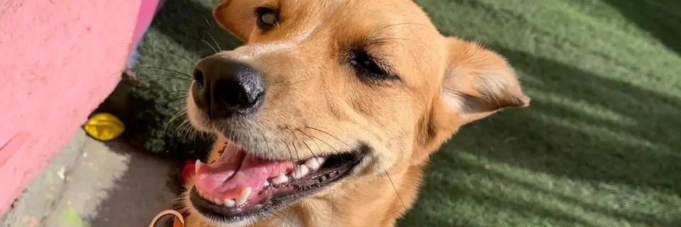 AndreaVivasM's profile banner image