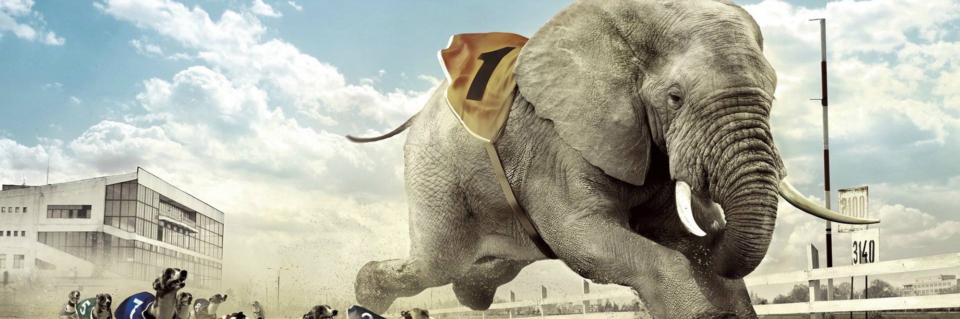 Repub_Breaking's profile banner image