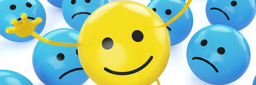 Frances Snyder banner