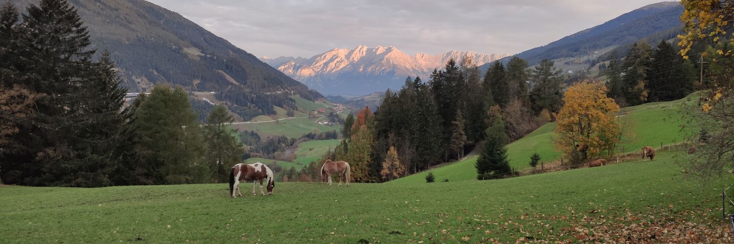 dietmarbohm's profile banner image