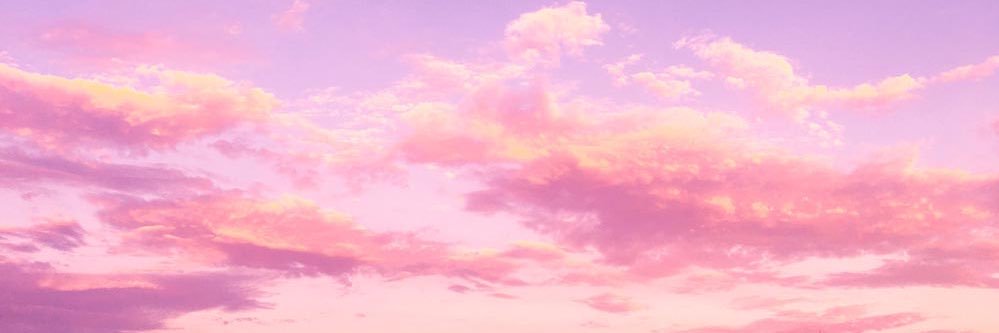 _PinkFirebird's profile banner image