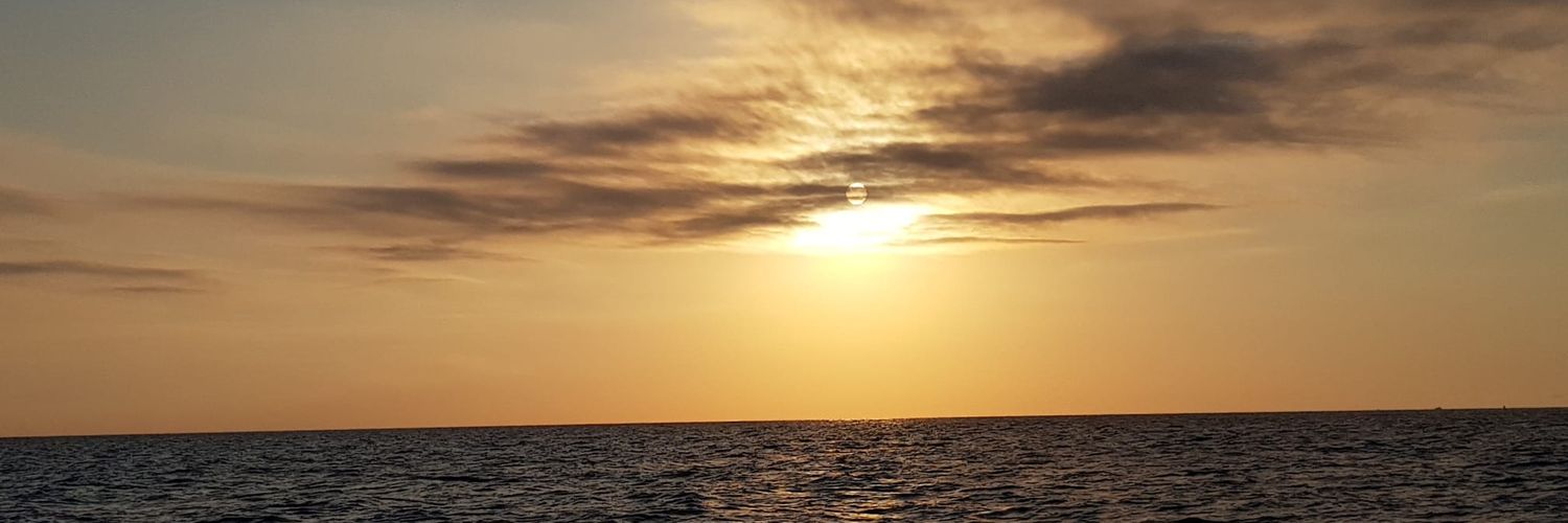 olga_anson's profile banner image
