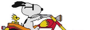 Matt Hasecoster banner