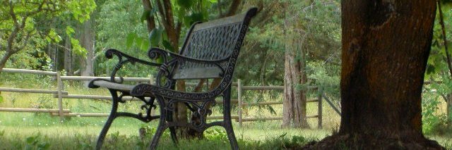 Summer Oakes, the thymeless 1 banner