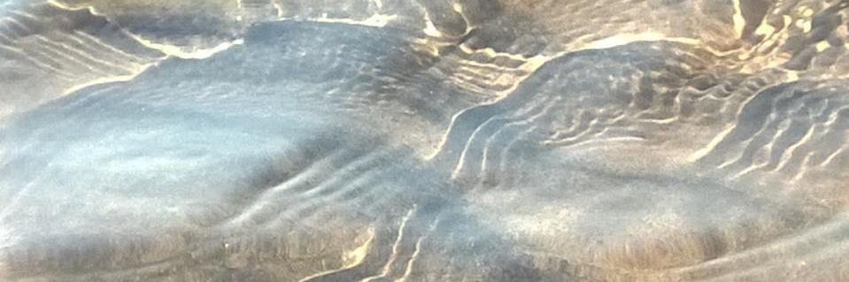 Siltasipe's profile banner image
