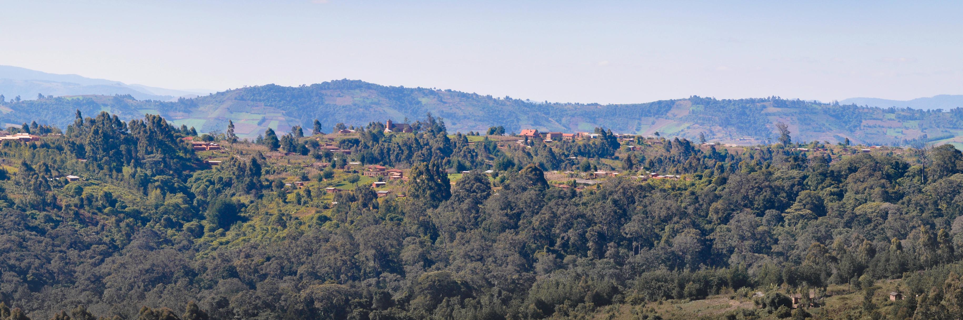 Peace Corps Tanzania banner