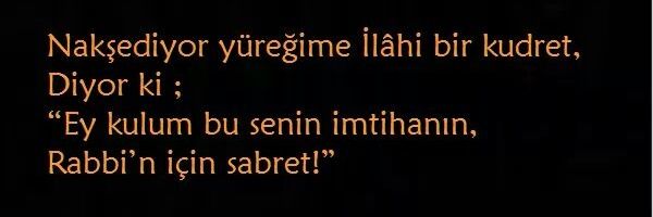 muhsin29coskun's profile banner image