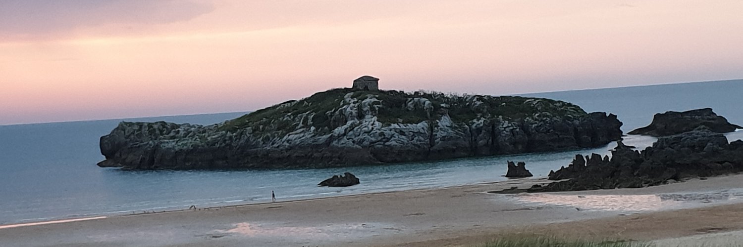 f. javier dominguez 💜🤍💜🏴󠁧󠁢󠁳󠁣󠁴󠁿 banner