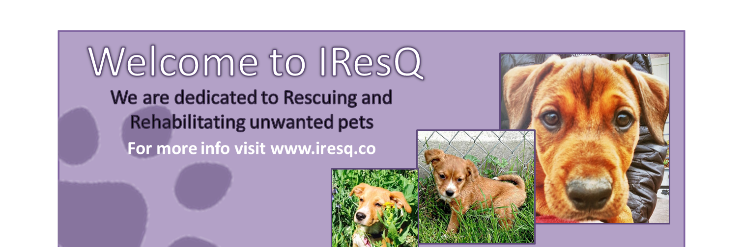 iResQPets's profile banner image