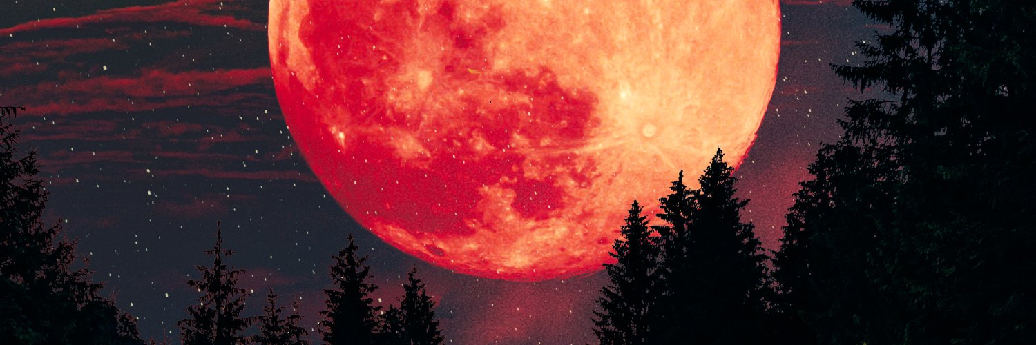 JB Stark banner