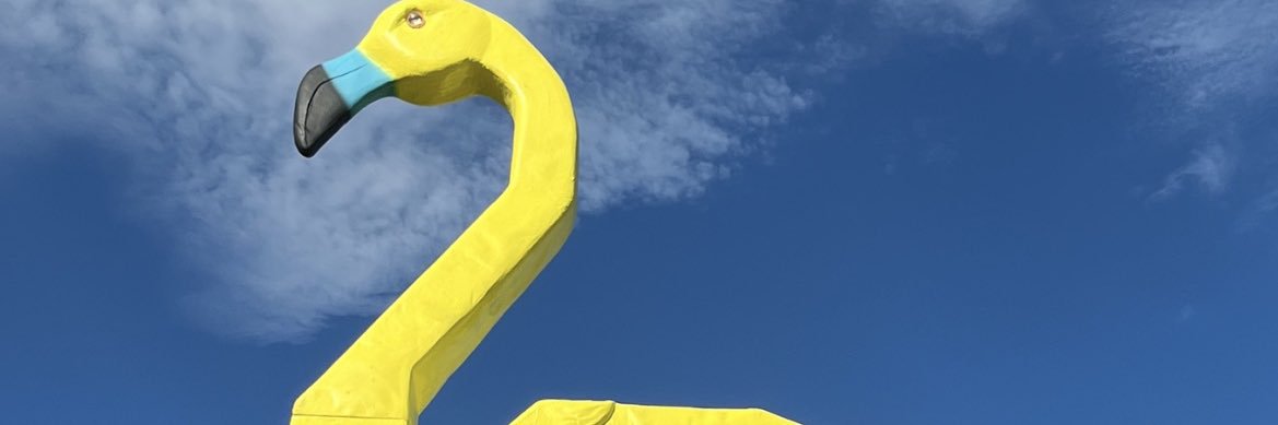 lephlamingo's profile banner image
