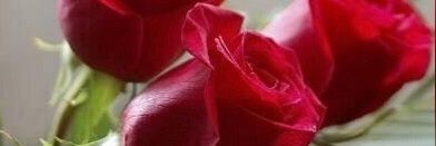 q__905's profile banner image