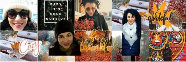 Layla Alizada Fan banner