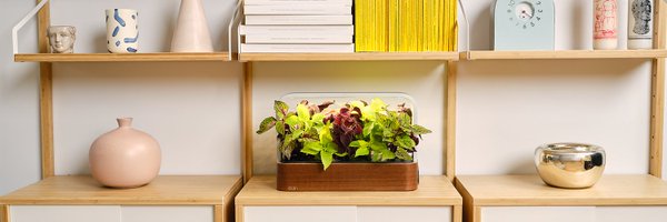 edngarden Profile Banner