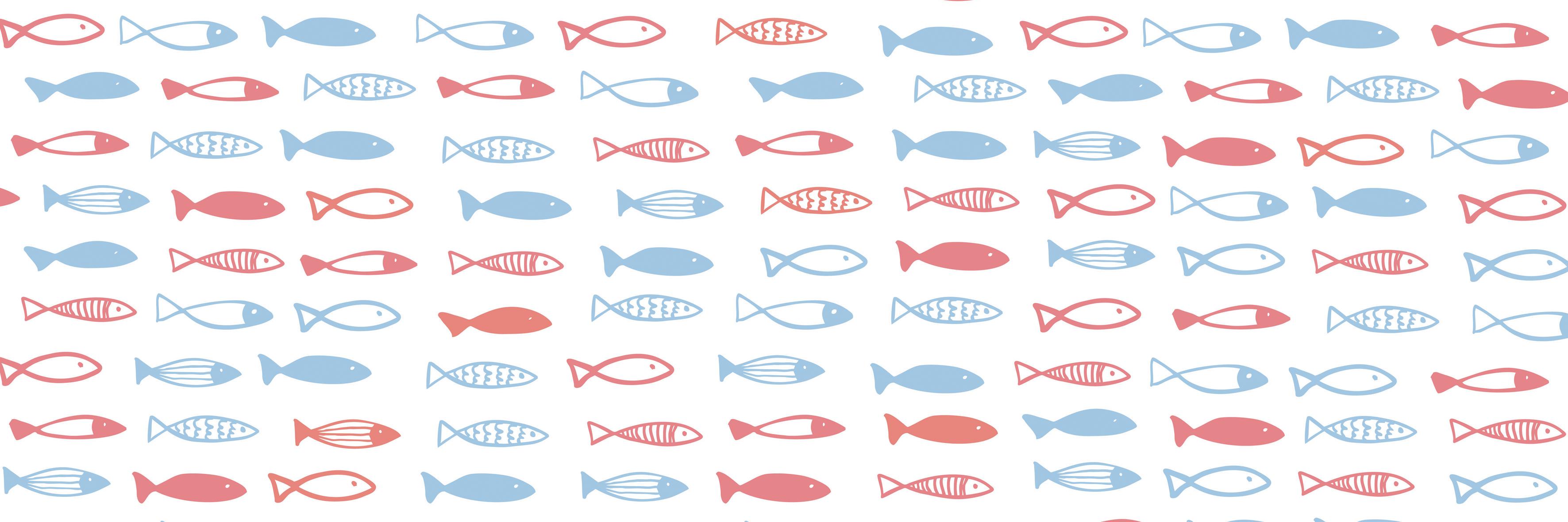 finniestonfish's profile banner image