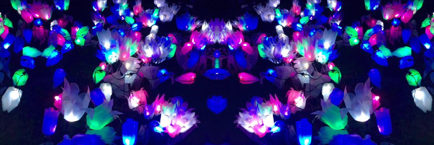 Saps_PHS's profile banner image