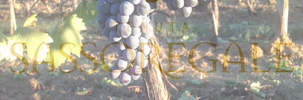 Sassoregale's profile banner image