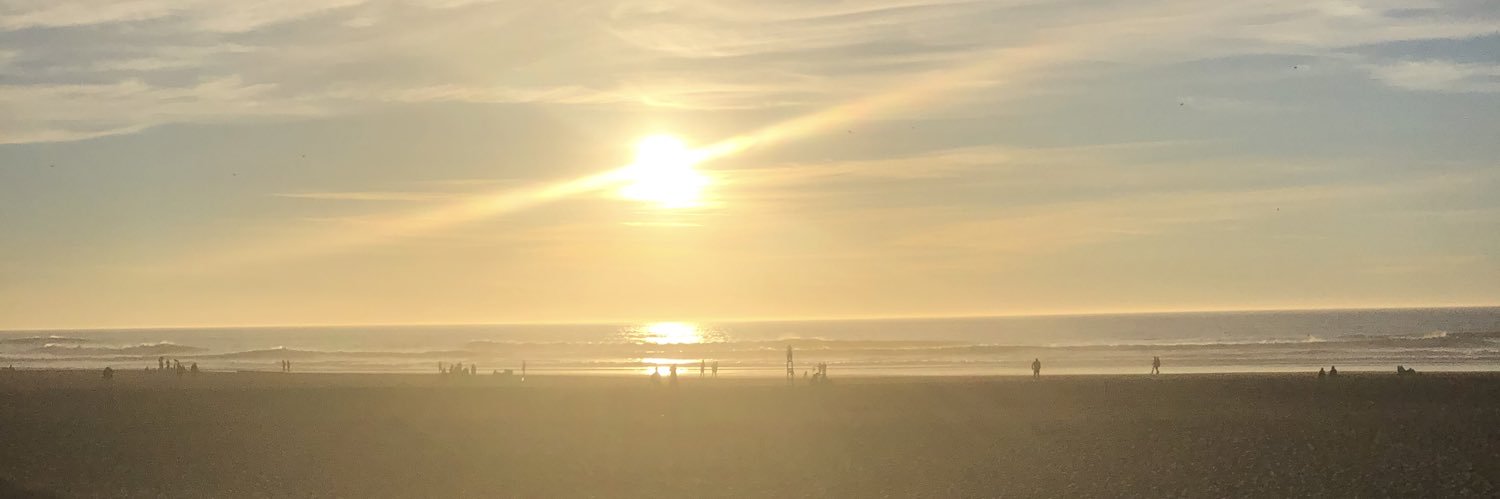 Ronan Manning banner