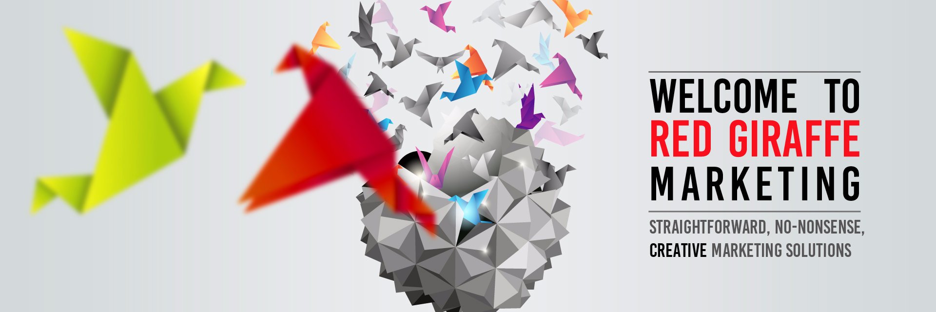 Red Giraffe - award winning web design banner