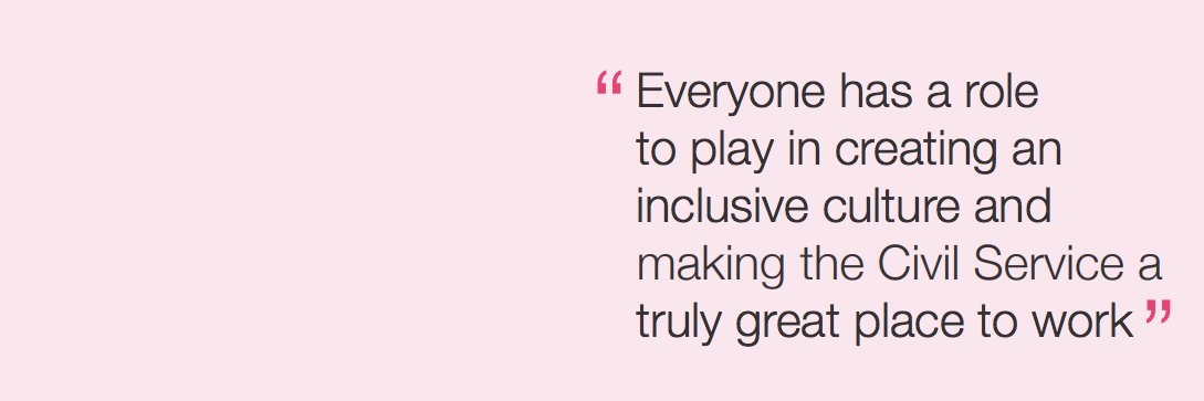 Civil Service Diversity and Inclusion banner