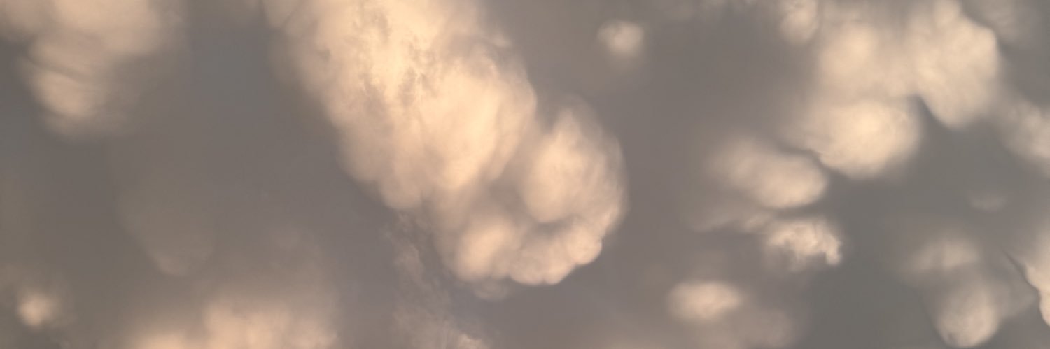 Lena banner
