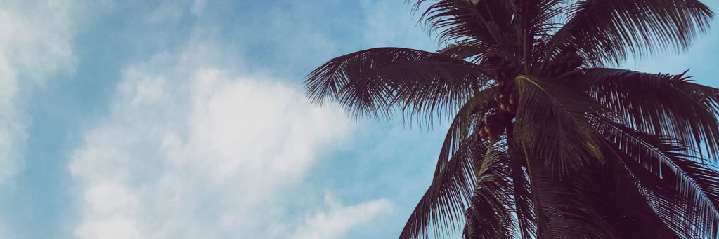 yoimkatrin's profile banner image