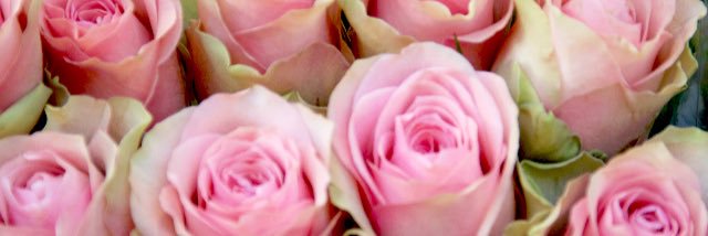LGerstel's profile banner image