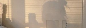 _naalii_'s profile banner image
