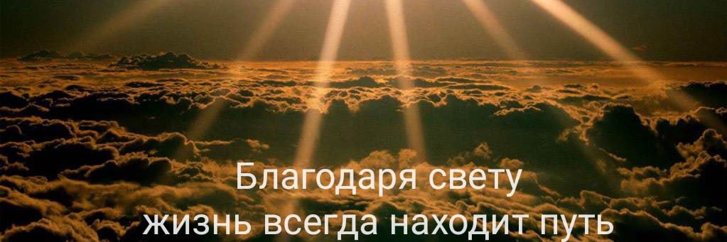 fa10_fas's profile banner image