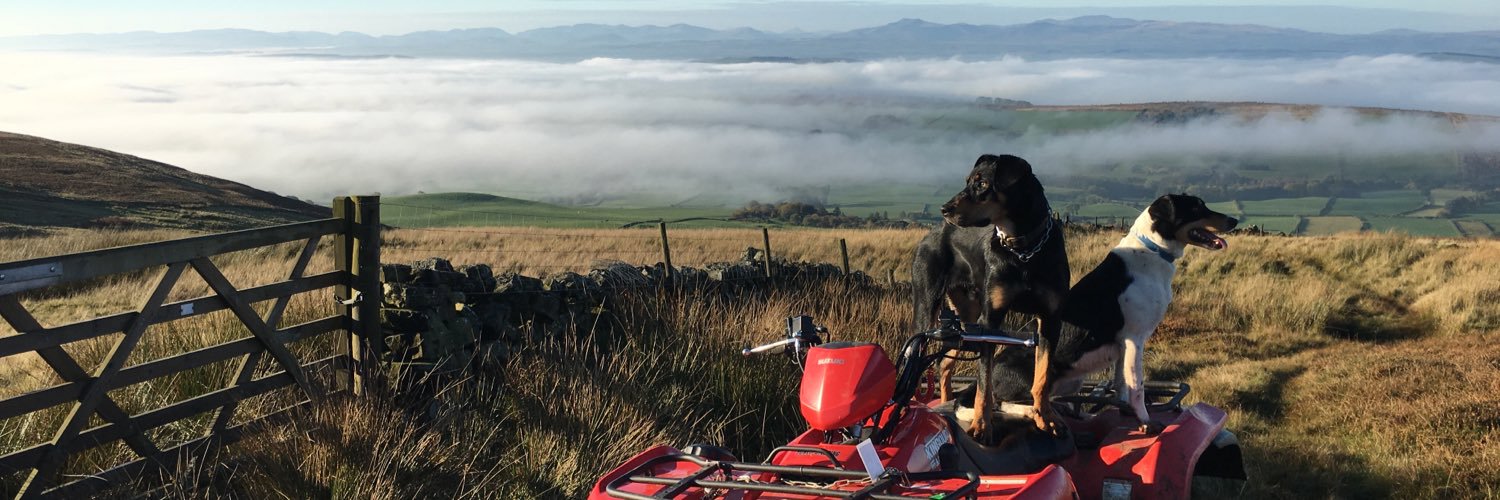 Thomas Stobart banner