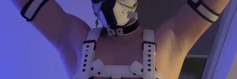 CommaderMeow 🔞 banner