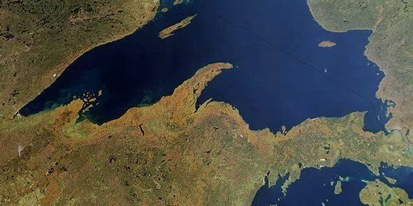 Sue C. ☮️ banner