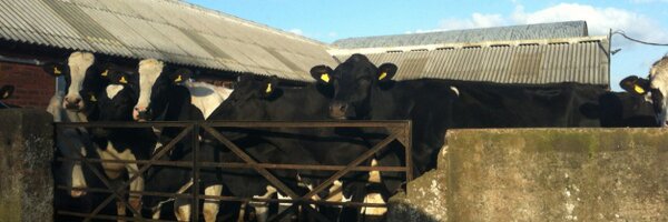 guyebanham Profile Banner