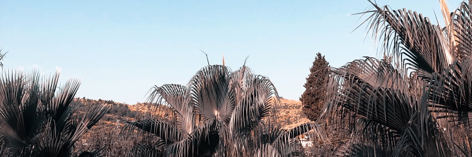 berkebicer's profile banner image