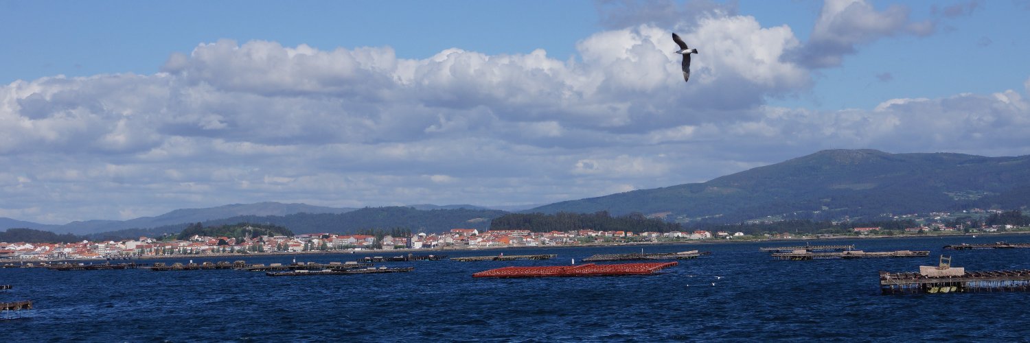 Maria Sarnecka 🇵🇱🇪🇺 🇺🇦⚡️ banner