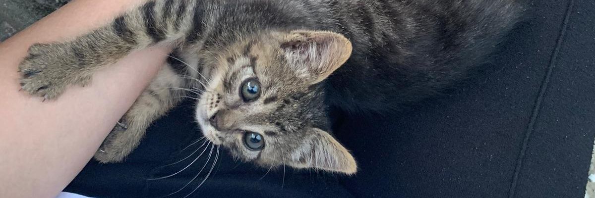 htcozkprt's profile banner image