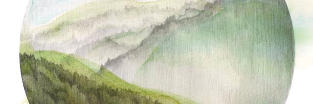 messylibrary's profile banner image