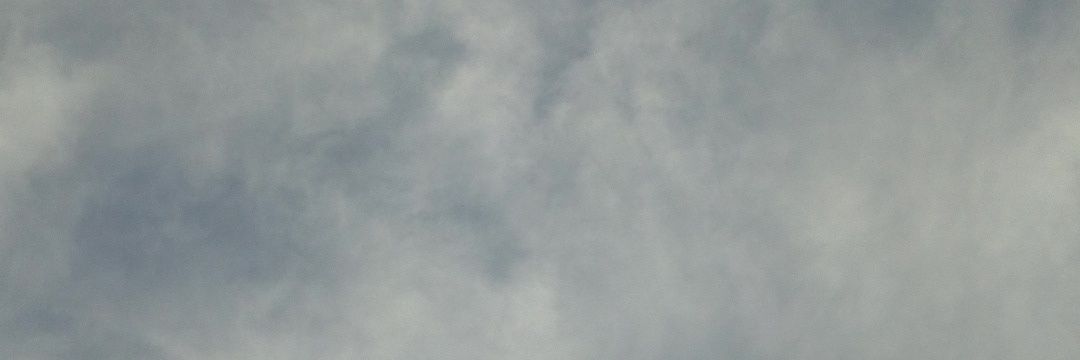 maimunamust's profile banner image