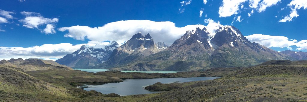 Dr George Garibaldi banner