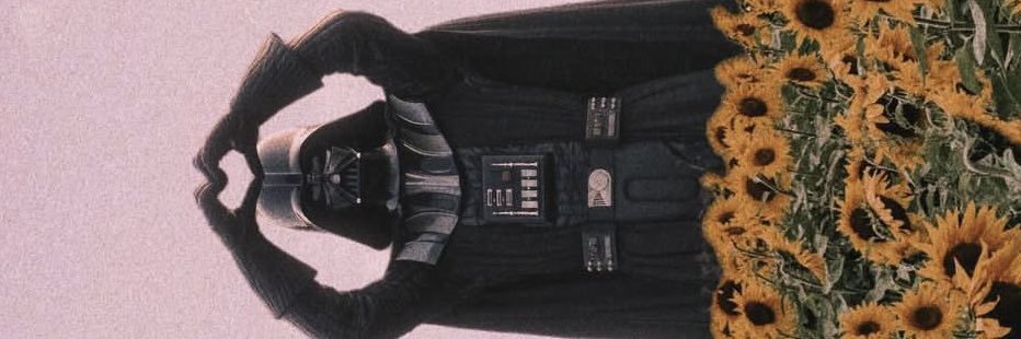 Selinkesenn's profile banner image