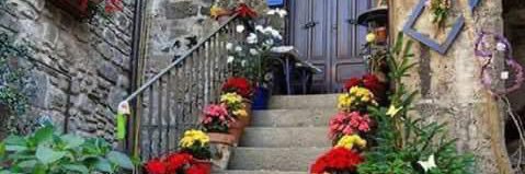 صالح جزاء الحربي banner