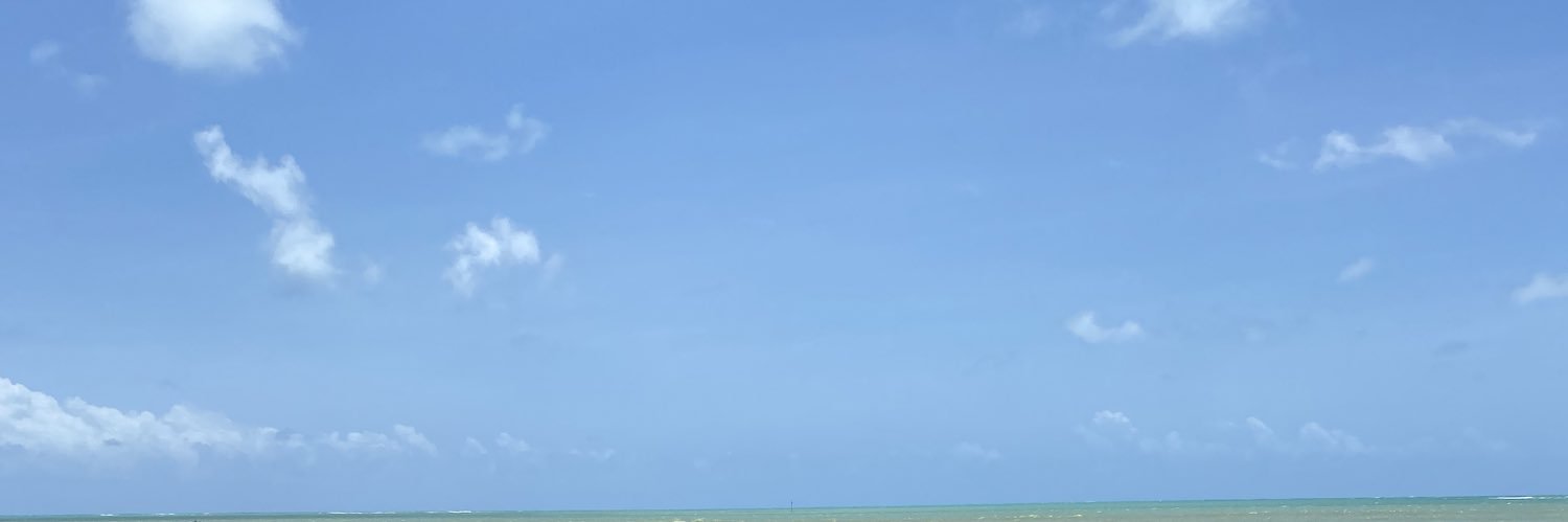 maduardaM's profile banner image
