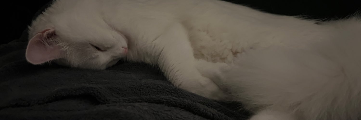 IN0Rl_'s profile banner image