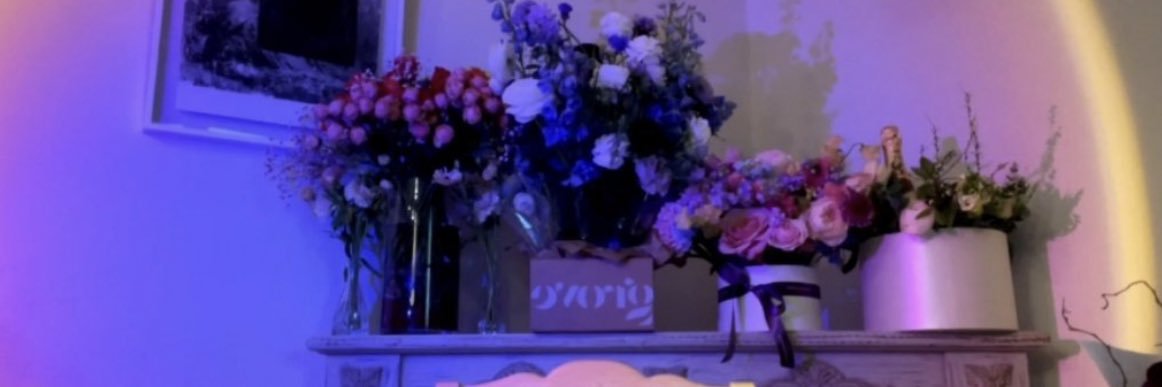purposezauren's profile banner image