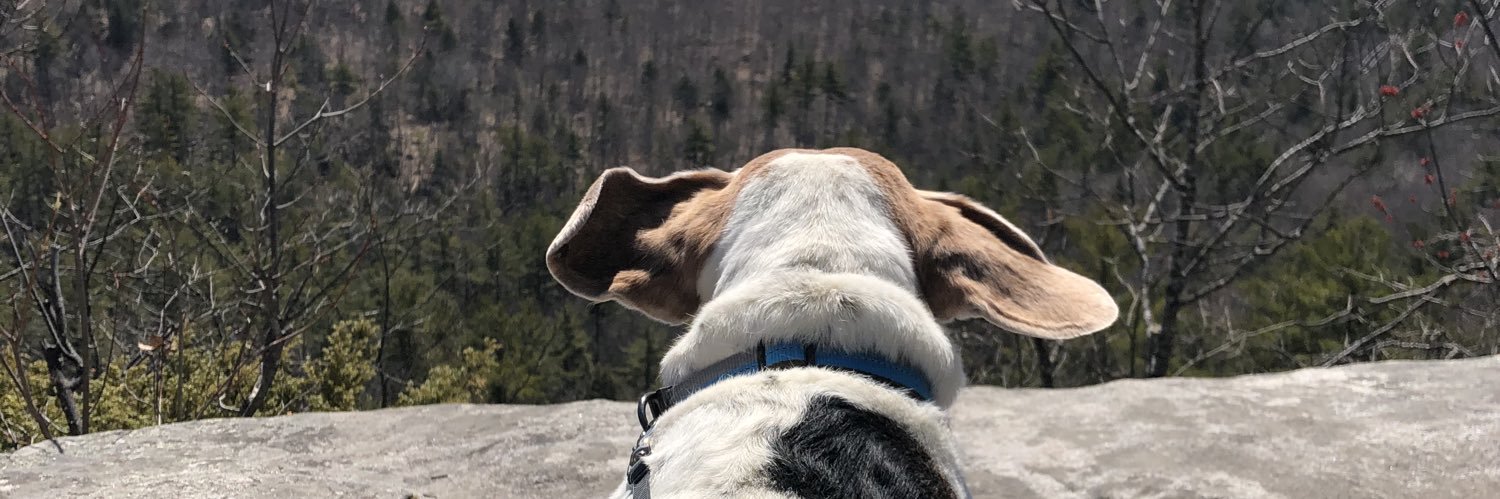 wyliepostt's profile banner image